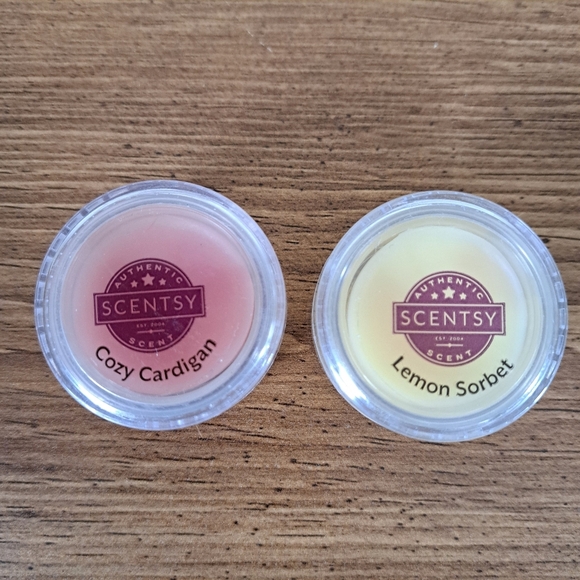 Scentsy Tester Lot 12 Testers Various Scents Wax 2 Sizes Small Large Samples - Picture 3 of 8